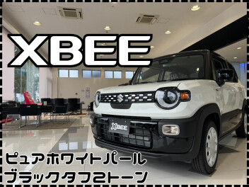 【展示車】クロスビーが入れ替わりました